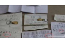 消逝的光芒需要账号密码，揭秘密码保护的重要性