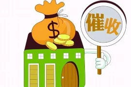 要账不给的狠句——破解欠款难题，维护权益攻略