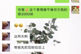 音乐剧要账：揭秘行业内的账务处理与法律应对