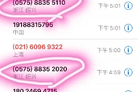 标题：问农村小伙要账的视频：一场关于诚信与沟通的较量