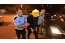 标题：轻松应对要账难题，这些头像设计让你事半功倍