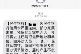 雇人危携要账，犯罪与否的探讨