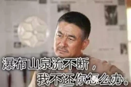 雅安要账的新闻：一场关于诚信与法治的较量