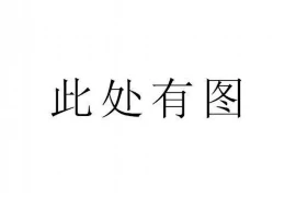 韩国电影《黑帮电影要账》：揭秘黑帮世界的残酷现实