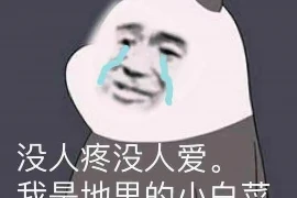 雄安要账的视频：揭秘背后故事，探寻法治精神