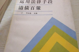 除夕要账，这四个字听起来就有些微妙。毕竟，除夕夜是团圆的时刻，家家户户都在享受着节日的欢乐。但在这个特殊的夜晚，有些人却不得不面对要账的现实。那么，如何在除夕夜要账，既能表达自己的需求，又不失礼节呢？下面，我就来和大家聊聊这个话题。