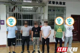 阿瑞斯病毒，一个听起来就让人心生警惕的名字。最近，网络上关于“阿瑞斯病毒需要账号”的话题引起了广泛关注。那么，这个病毒究竟是什么？为什么需要账号？今天，我们就来聊聊这个话题。