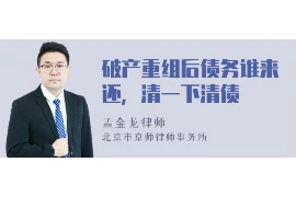 别人欠债股东能去要账吗? 别人欠债股东能去要账吗?