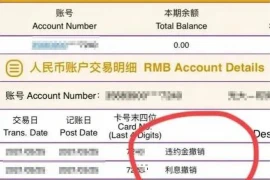 槑头槑脑给老板要账，揭秘中小企业账款回收困境及解决方案