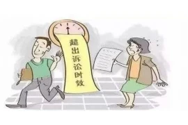 郑凯呀要账号：揭秘网络红人的成长之路