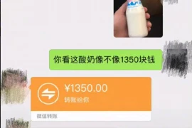 爆笑二货要账