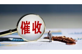 进别人家要账：法律与道德的双重考量
