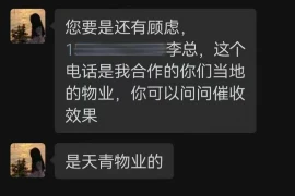 龙岩催收电话：揭秘那些我们可能不太熟悉的机构