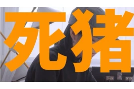 过年要账要不到烦人