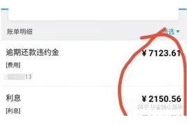 林胜男要账，揭秘企业应收账款管理的智慧之道