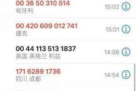 银行违规催收赔偿：维权之路与法律支持